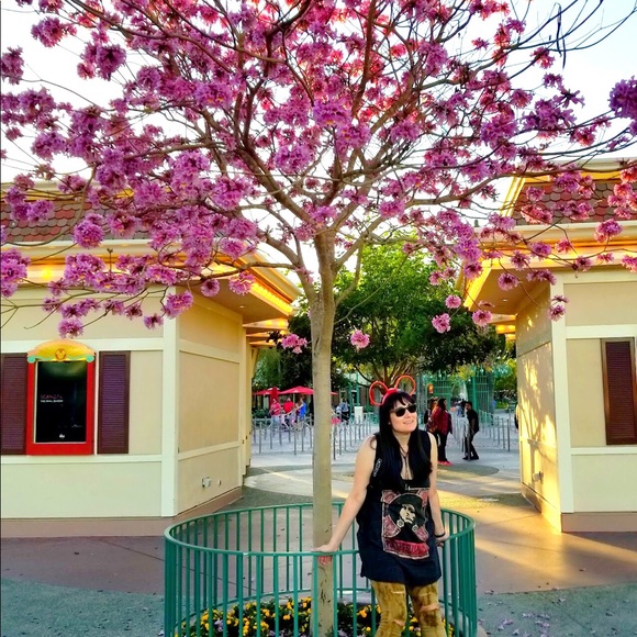 Meet your Posher, Courtney - Picture 5 of 6